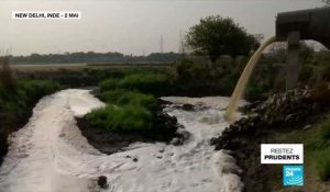 Journée mondiale de l'environnement : en Inde, la rivière Yamuna n'a jamais été aussi propre