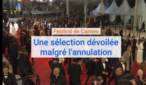 Festival de Cannes : une sélection dévoilée  malgré l'annulation.