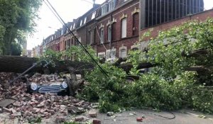 Un arbre chute sur la chaussée à Croix