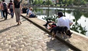 Coronavirus: malgré les parcs fermés, des Parisiens profitent du soleil