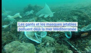 La Méditerranée polluée par les masques et gants jetables