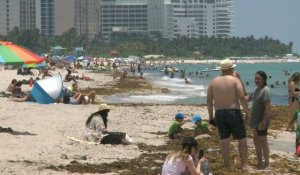 Etats-Unis: les baigneurs de retour sur les plages alors que Miami se déconfine