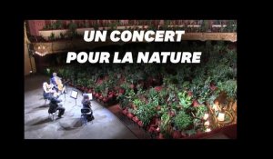 L'opéra de Barcelone rouvre avec des plantes pour spectateurs