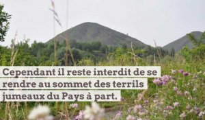 Béthunois-Bruaysis : les sites naturels qui rouvrent aux promeneurs