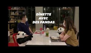 Ce restaurant utilise des pandas en peluche pour la distanciation sociale