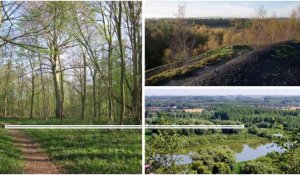 Douaisis : neuf sites naturels du département du Nord rouvrent ce week-end