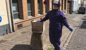 Un essaim d'abeilles en centre-ville de Saint-Omer