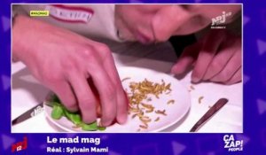 Mad Mag : ils mangent des vers en direct !