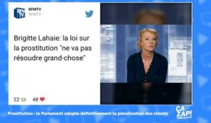 Adoption de la loi contre la prostitution : Brigitte Lahaie réagit sur Twitter