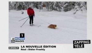 Ce chat fait du ski avec sa maîtresse !
