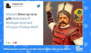 Erdogan conseille à Ayrault de "se mêler de ses affaires" : Twitter s'enflamme