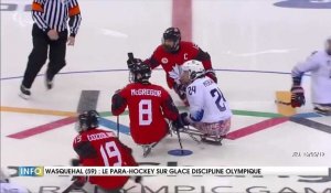 Le para hockey, une discipline olympique