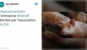 Agroalimentaire. L'entreprise Hénaff félicitée par l'association L214