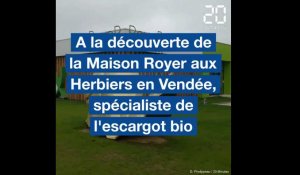 Maison Royer, spécialiste de l'escargot bio