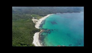 Notre sélection des plus belles plage du Sud de la Corse