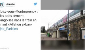 Val-d'Oise. Des ados crient « Allahou akbar » dans un train et sèment la panique