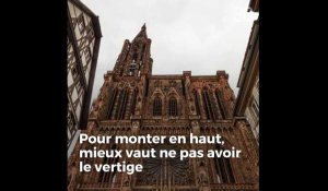 Strasbourg: Les cinq secrets de la cathédrale que vous ne connaissez (peut-être) pas