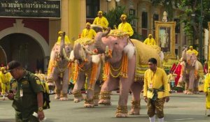 Thaïlande: des éléphants rendent hommage au roi Rama X
