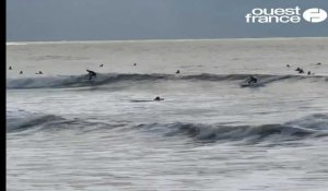 Les Sables-d'Olonne. Une journée surf sur la grande plage