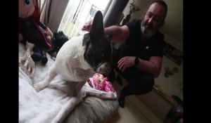 Au Quesnoy, pour sauver son chien malade, Mickael Draux lance une cagnotte leetchi
