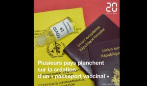 Comment pourrait fonctionner un « passeport vaccinal » ?