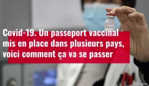 VIDÉO. Un passeport vaccinal mis en place dans plusieurs pays. Comment çà marche?