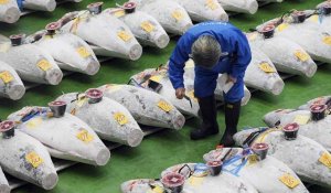 Japon : la crise sanitaire n'épargne pas la vente de thon