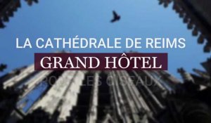 La cathédrale de Reims, grand hôtel pour les oiseaux