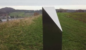 Un monolithe trouvé dans une réserve naturelle en Belgique