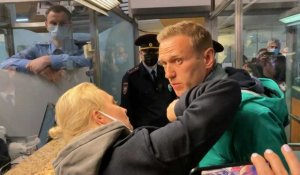 L'opposant Alexeï Navalny arrêté dès son retour en Russie (AFP)