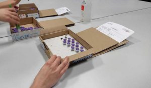 Les vaccins Pfizer-BioNTech sont décongelés à l'hôpital universitaire de Louvain