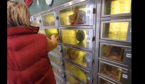 A Herlies, Marion, maraîchère, vend aussi ses légumes grâce à des distributeurs automatiques
