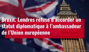 VIDÉO. Londres refuse d’accorder un statut diplomatique à l’ambassadeur de l’UE