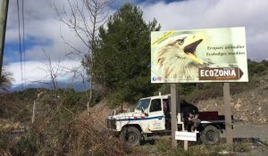 Pyrénées-Orientales : des loups s'échappent de leur enclos dans le parc EcoZonia