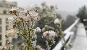 Flocons de neige à Versailles près de Paris