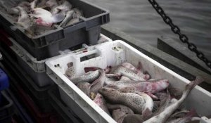 L'UE doit s'accorder sur les quotas de pêche pour 2021