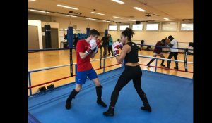 A Dinard, le Campus sport Bretagne s'équipe pour la boxe de haut niveau