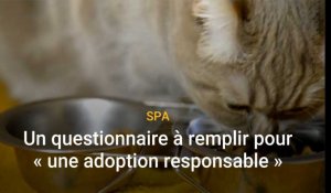 Un questionnaire pour une "adoption responsable" à la SPA