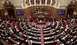 VIDÉO. Réforme des retraites : la suite des discussions au Sénat