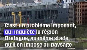 Saint-Malo : Le cargo russe Vladimir Latyshev immobilisé depuis un an #shorts