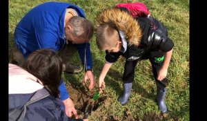 VIDEO. Des écoliers plantent une centaine d'arbres à Bressuire