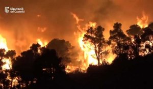 Espagne : premier feu de forêt majeur de la saison, déjà 4 000 hectares brûlés