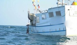 Dauphins tués en mer : "une hécatombe" pour Sea Shepherd