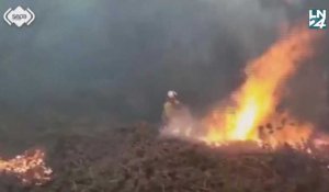 Espagne : Près de 95 incendies toujours actifs dans les Asturies