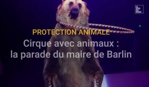 Cirque avec animaux : la parade du maire de barlin