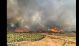 VIDÉO. Canada : la province de l'Alberta demande de l'aide face à des feux « sans précédent »