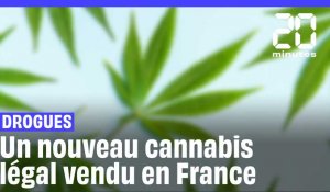 Cannabis : C'est quoi le HHC, le nouveau cannabis légal vendu en France ?