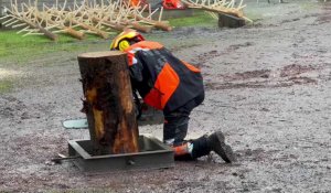 Ambiance au « Rendez-vous forêt bois », qui se déroule au parc d’Olhain