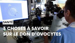 Le don d'ovocytes, comment ça marche? 