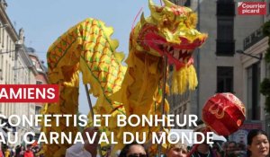 Amiens : pluie de confettis et de bonheur au carnaval du monde